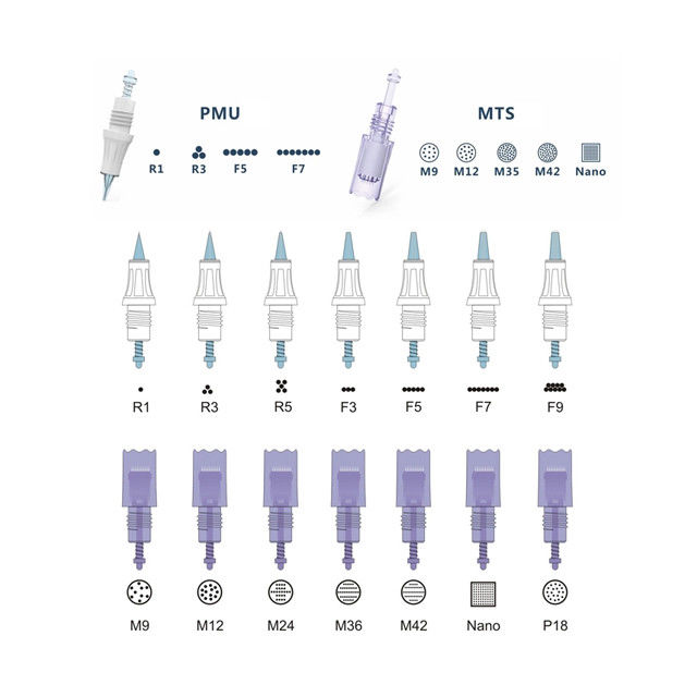 Tätowierungspistole Permanente Maske Tätowierungsmaschine Elektrischer Derma Pen V6 Artmex MTS PMU Auge Stirn Lippe