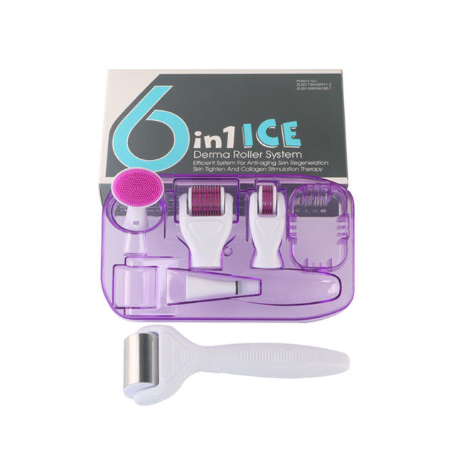 Professionelle medizinische PC-Griffe Trennbarer ICE Derma-Roller 6 in 1 zur Hautverjüngung