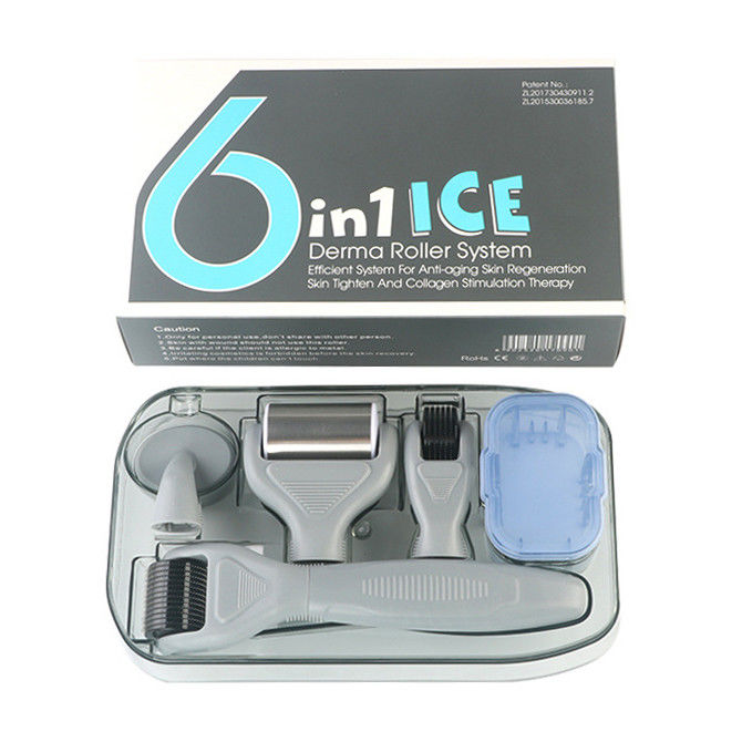Professionelle medizinische PC-Griffe Trennbarer ICE Derma-Roller 6 in 1 zur Hautverjüngung