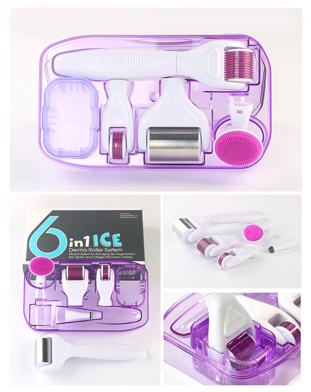 Professionelle medizinische PC-Griffe Trennbarer ICE Derma-Roller 6 in 1 zur Hautverjüngung