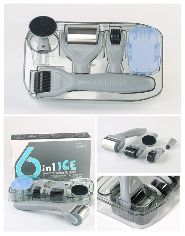 Professionelle medizinische PC-Griffe Trennbarer ICE Derma-Roller 6 in 1 zur Hautverjüngung
