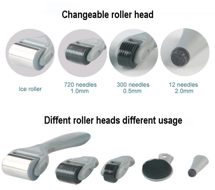 Professionelle medizinische PC-Griffe Trennbarer ICE Derma-Roller 6 in 1 zur Hautverjüngung