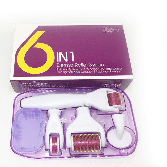 Derma-Rollsystem und Nadelmaterial Edelstahl / Titan 6 in 1 Derma-Roller