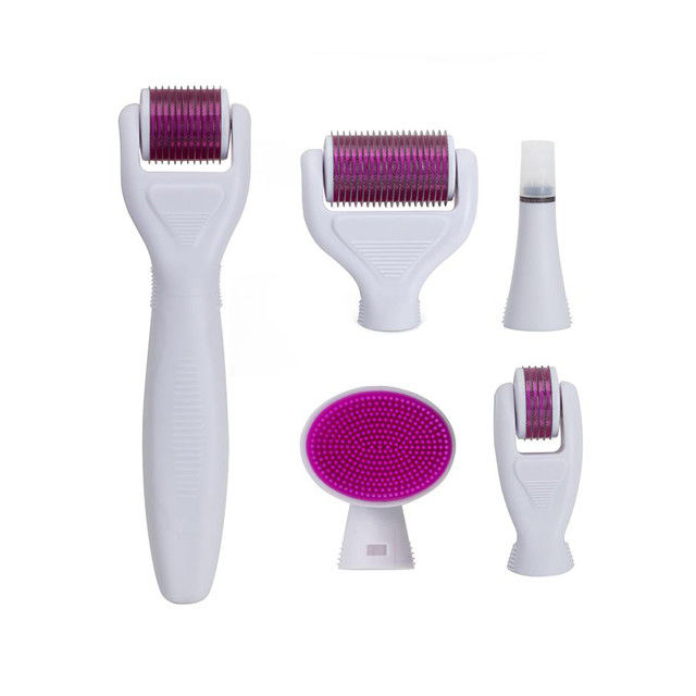 Derma-Rollsystem und Nadelmaterial Edelstahl / Titan 6 in 1 Derma-Roller