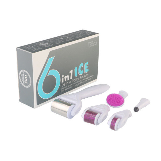 6 in 1 Derma Roller Kit mit Eis Roller Hautkühlung Derma Pflege Gesichtspflege