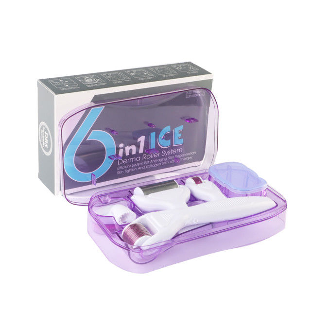 6 in 1 Derma Roller Kit mit Eis Roller Hautkühlung Derma Pflege Gesichtspflege