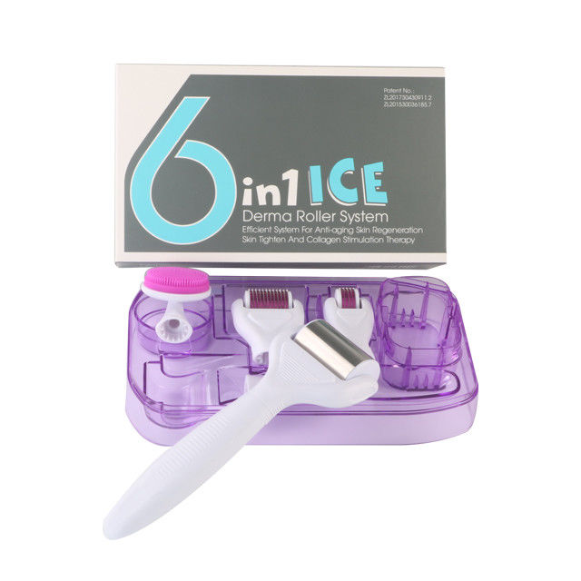 6 in 1 Derma Roller Kit mit Eis Roller Hautkühlung Derma Pflege Gesichtspflege